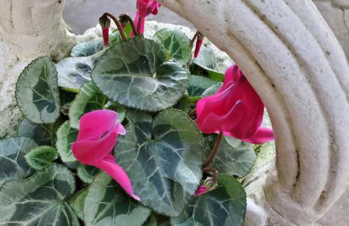 CASA O´PACIÑO - Foto 3