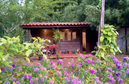 O Cantinho de Coura - a cabana - Foto 1