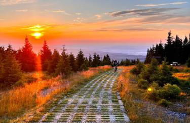 Am Wäldchen - Foto 36