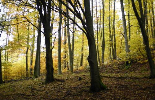 Ferienhaus Rhöner Wohnen - Foto 20