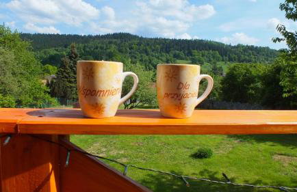 Leśny Domek - Foto 47