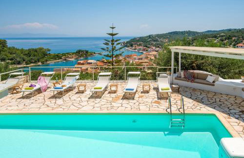 Bougainvillea - Foto 15