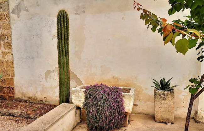 Leu075 in Castrignano del Capo - Foto 40