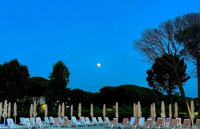 Stylish Studio With Spacious Balcony -trendafili - Foto 29