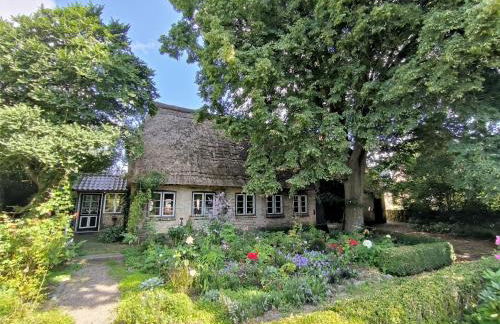 Ferienwohnung Marx - Urlaubstraum im Grünen Binnenland - Foto 13