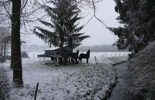 Rustic Apartment in Mesch near Town Center - Foto 76