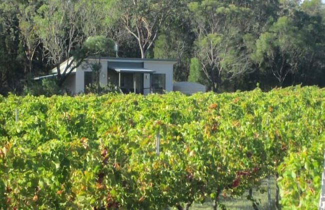 Just Red Wines Vineyard Cabins - Photo 11
