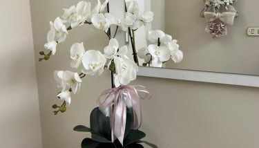 Casa vacanze l’orchidea - Foto 1