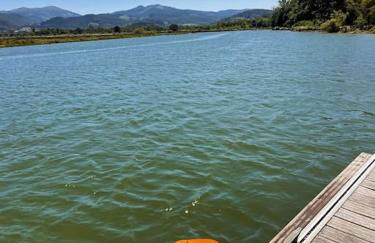 Ozollo Bekoa - Casa con piscina en el corazón de Urdaibai. - Foto 54