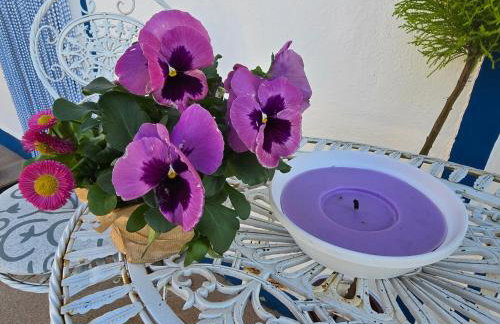 Casa Azul Oase da Natureza em Recanto - Photo 25