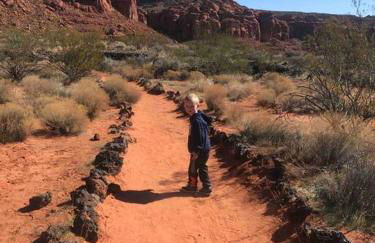 Swiss Corner Cottage * Private-Heated Indoor Pool - Foto 57