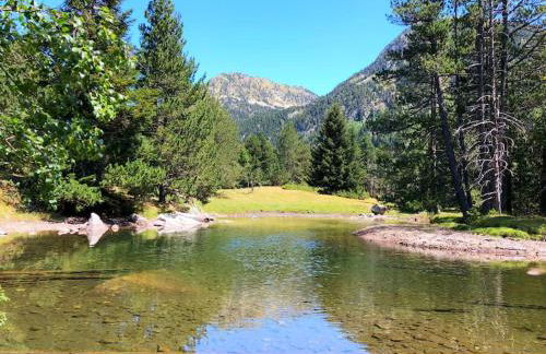 Ático turistico en Durro - La Vall de Boí - Foto 17