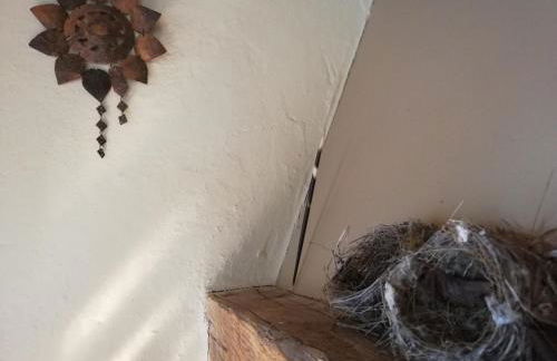 Casa delle ginestre - Foto 17