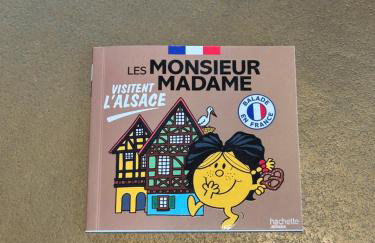 L'écrin d'Anne et Stéphane - vue sur Strasbourg - Foto 59