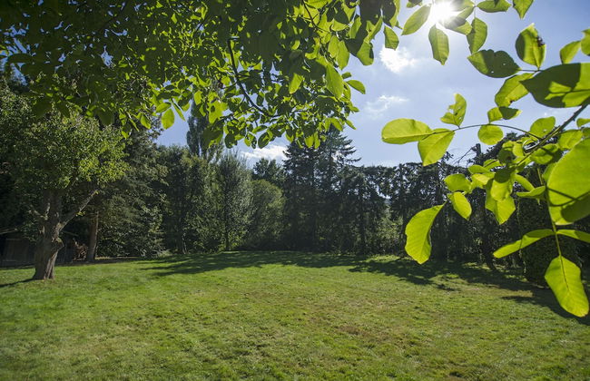 Ferienhaus Faltmann - Foto 54