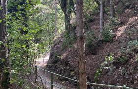 Residence Dalco Suites & Apartments - Foto 50