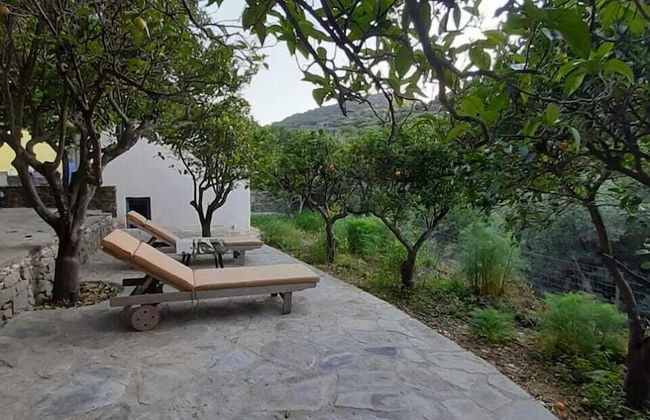 Diamoni Afroditi - Photo 20