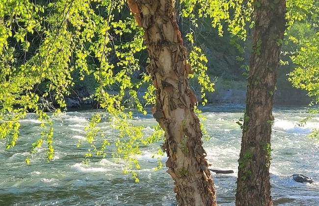 Strawhouse Resorts - Photo 72