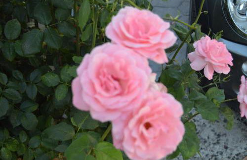 Villa Cristina - Foto 31