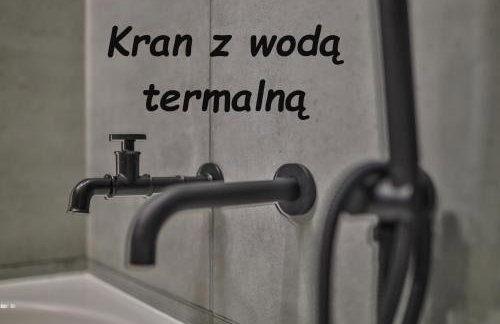 Loft Apartments Uniejów - Foto 14