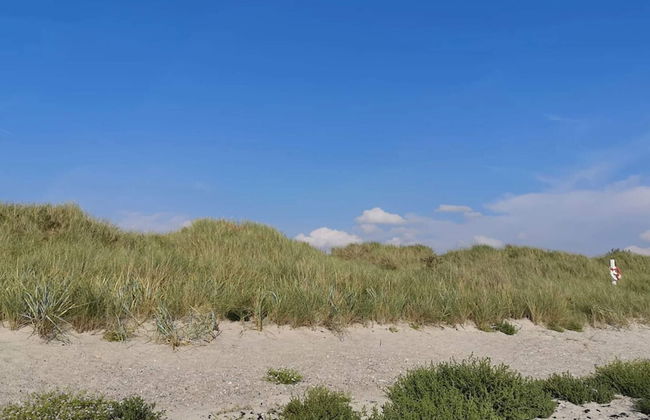 12 Person Holiday Home in Rodby - Foto 18