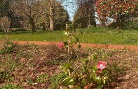 Ty Gouanac'h Maison de charme proche mer entièrement rénovée - Foto 45