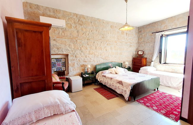 Agriturismo il Pioppeto - Foto 21