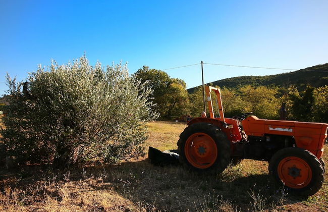 Historic Castle With View - Photo 24