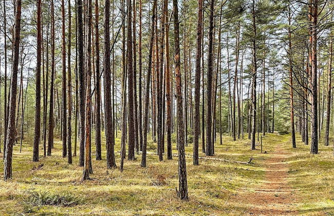 2 Person Holiday Home in Brosarp - Foto 54