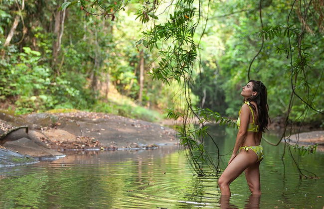 The Canopy Rainforest Treehouses and Wildlife Sanctuary - Foto 10