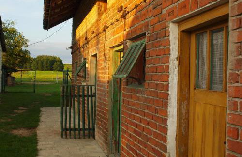 Wakacje u Babci Krysi - Foto 35