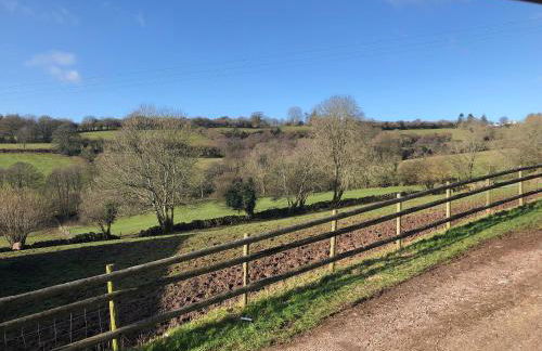Welsh Marches at Upper Glyn Farm - Foto 18