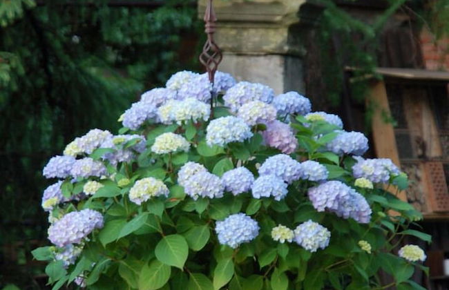 Strohhutmanufaktur - Photo 45