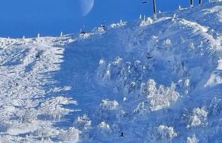 Studio Piccola Renna - Foto 56