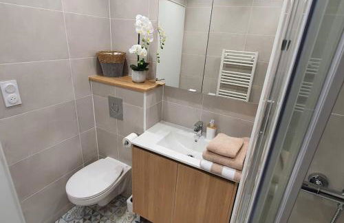 Studio L'élégance Place de Jaude et garage - Foto 6