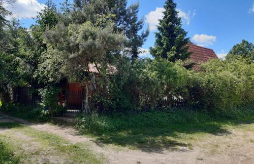 LUNA nad jeziorem Wojnówko gm Murowana Goślina - Foto 20