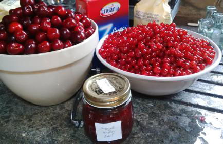 PODERE TORRICELLE 69B Pancole Gr, seaview infinity pool, jacuzzi, sauna, exclusive villa with 2 bedrooms for 4 - If you total 5 or 6 people there is an independent suite in main villa with private ensuite bathroom, kitchenette and garden dining area - Foto 80