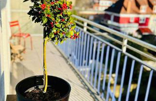 FeelsLikeHome - Wunderschöne und zentrale Wohnung mit Balkon&Parkplatz - Foto 19