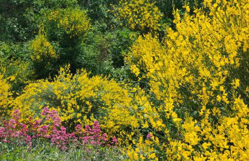 La perle de Gordes - Photo 24