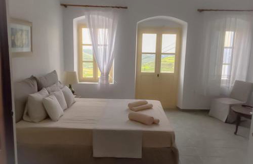 Thomas Traditional House in Chora - Photo 31