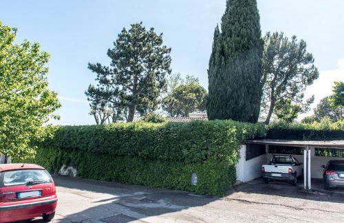 S315 - Sirolo, villa singola con giardino panoramico - Foto 50