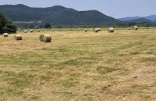 Villa Nikšić - Foto 37