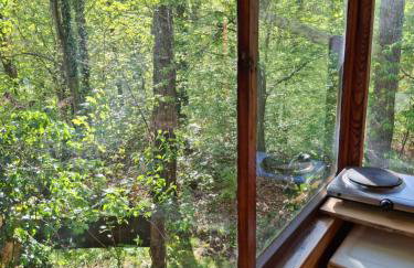 Waldidylle - Bungalows an der Talsperre Kriebstein - Foto 20