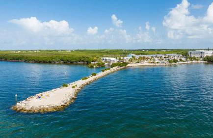 305 Kawama Tower - Foto 19