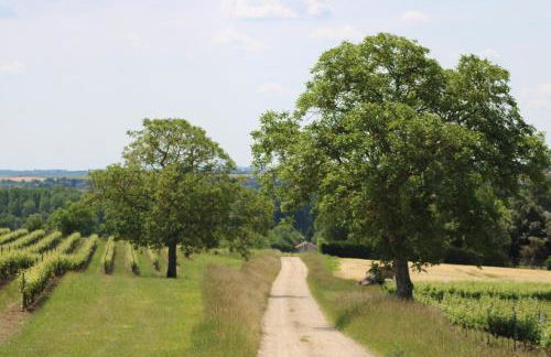 Gîtes Le Saint Martin Le Cosy 1 - 4 pers - Foto 27