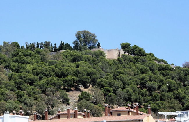 Duplex Merced10 3G Terraza - Photo 9