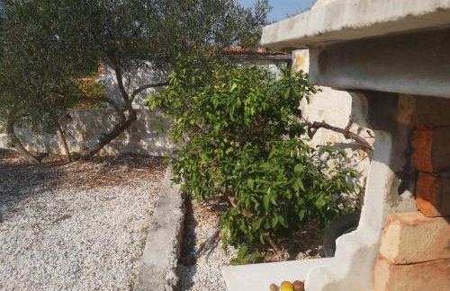 Bijela kuča - Foto 47