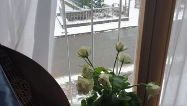 Gegenüber der Mühle - Foto 3