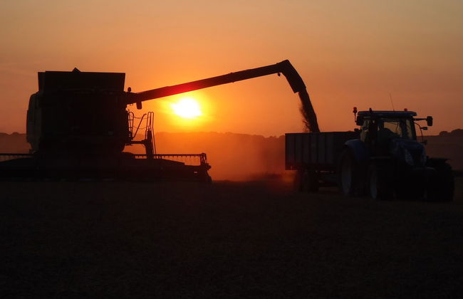 Manor Farm B & B - Foto 49