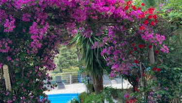 APT 65 M2 DANS VILLA AVEC PISCINE BANYULS SUR MER - Foto 4, Garden